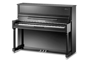 WKP123
