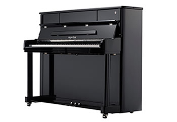 KN1